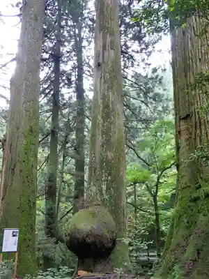 花園神社(茨城県)
