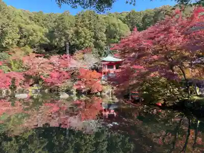 醍醐寺(京都府)