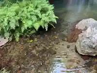 八幡神社(徳島県)