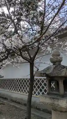 御香宮神社(京都府)