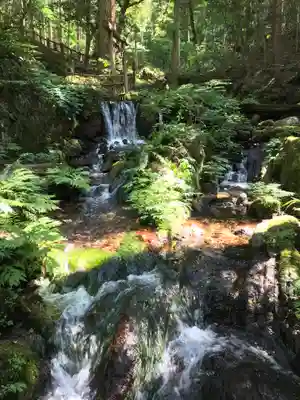 天徳寺(福井県)
