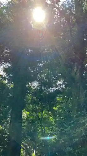 八重垣神社の自然