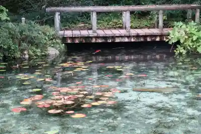 根道神社(岐阜県)