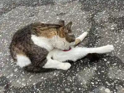 白山神社(東京都)
