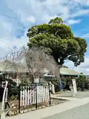 伊勢原大神宮の建物その他