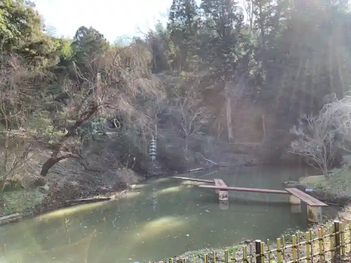妙覚寺の庭園