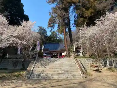 千代ケ岡八幡宮(栃木県)
