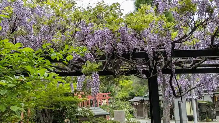 辛國神社(大阪府)