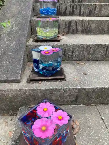 般若寺 ❁﻿コスモス寺❁(奈良県)