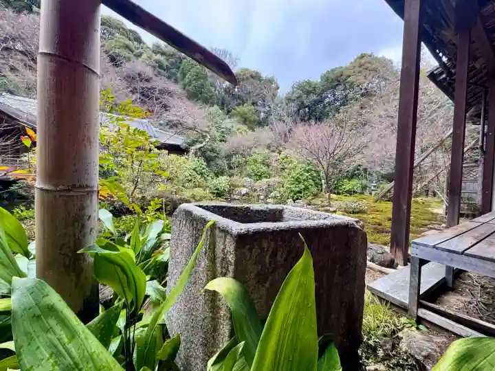 実相院門跡の{uncategorized: "未分類", other: "その他", undefined: "問題あり", building: "その他建物", grave: "お墓", sacred_gate: "鳥居", guardian: "狛犬", statue: "像", buddha: "仏像", history: "歴史", nature: "自然", garden: "庭園", animal: "動物", pagoda: "塔", temizu: "手水舎", mountain_gate: "山門・神門", sanctuary: "本殿・本堂", subordinate: "末社・摂社", art: "芸術", scenery: "景色", jizo: "地蔵", ema: "絵馬", goshuin: "御朱印", omikuji: "おみくじ", items: "授与品その他", amulet: "お守り", goshuincho: "御朱印帳", eats: "食事", festival: "お祭り", votive_dance: "神楽", shichigosan: "七五三参", wedding: "結婚式", experience: "体験その他", initially: "初詣", around: "周辺", anti_infection: "感染症対策"}