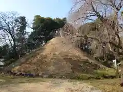 東沼神社の建物その他