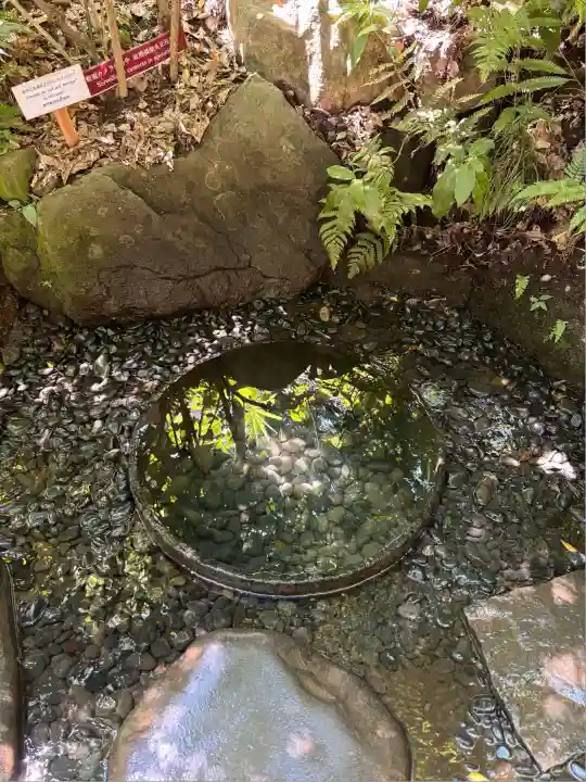 明治神宮(東京都)