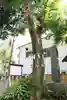 くまくま神社(導きの社 熊野町熊野神社)の自然