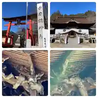 手力雄神社(岐阜県)