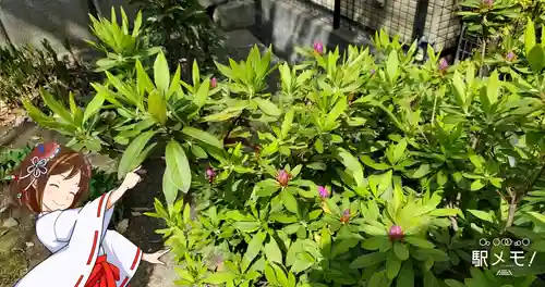 上平井天祖神社の自然