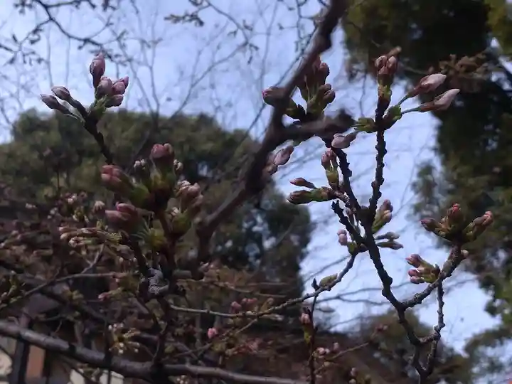 阿佐ヶ谷神明宮(東京都)
