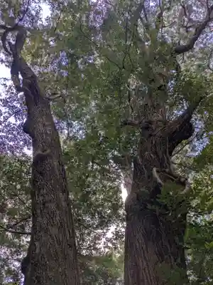牛庭神社(三重県)