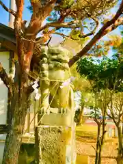 土浦三社神社(水天宮・水神宮・寿寅稲荷神社)の狛犬