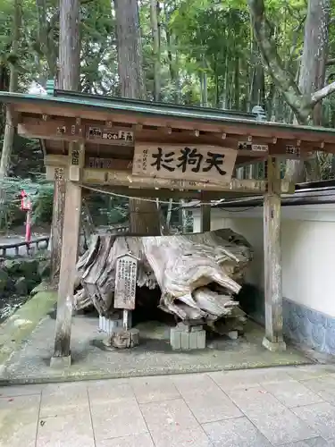目の霊山　油山寺(静岡県)