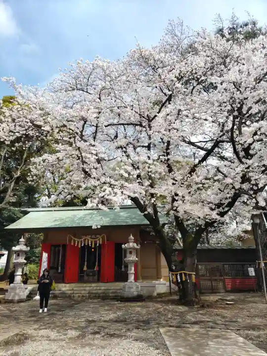 前原御嶽神社(千葉県)