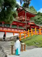 春日大社(奈良県)