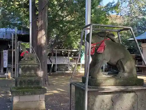 大宮前春日神社の狛犬
