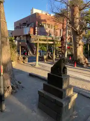 亀岡八幡宮（亀岡八幡神社）(神奈川県)