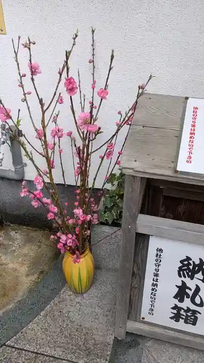 市比賣神社(京都府)