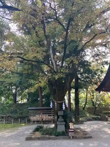 武田神社(山梨県)