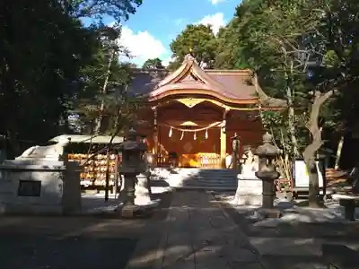 小金井神社の本殿・本堂