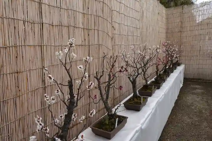 菅原天満宮(菅原神社)のその他建物