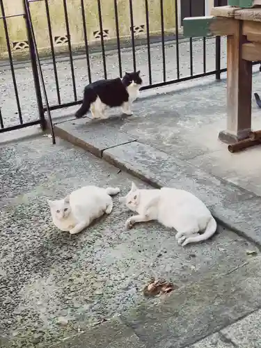 南品川諏訪神社(東京都)