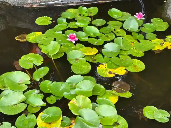 長谷寺(神奈川県)