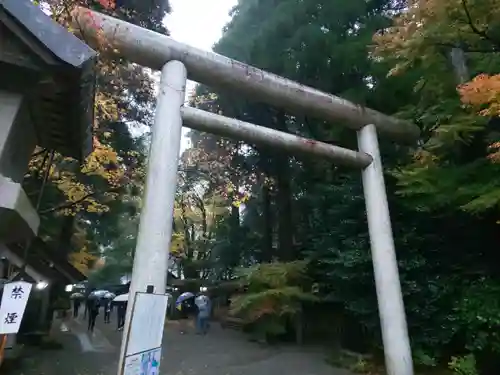 天岩戸神社の鳥居