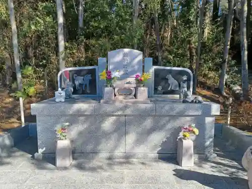少林寺の{uncategorized: "未分類", other: "その他", undefined: "問題あり", building: "その他建物", grave: "お墓", sacred_gate: "鳥居", guardian: "狛犬", statue: "像", buddha: "仏像", history: "歴史", nature: "自然", garden: "庭園", animal: "動物", pagoda: "塔", temizu: "手水舎", mountain_gate: "山門・神門", sanctuary: "本殿・本堂", subordinate: "末社・摂社", art: "芸術", scenery: "景色", jizo: "地蔵", ema: "絵馬", goshuin: "御朱印", omikuji: "おみくじ", items: "授与品その他", amulet: "お守り", goshuincho: "御朱印帳", eats: "食事", festival: "お祭り", votive_dance: "神楽", shichigosan: "七五三参", wedding: "結婚式", experience: "体験その他", initially: "初詣", around: "周辺", anti_infection: "感染症対策"}