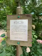 磯山神社の歴史