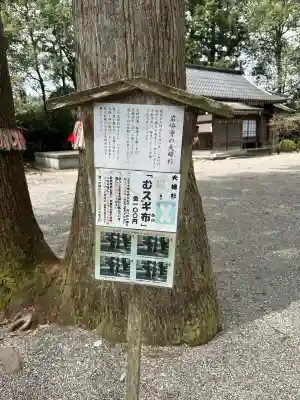 雄山神社前立社壇(富山県)