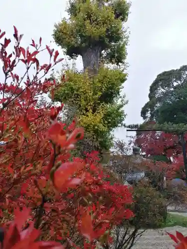 月山寺の庭園