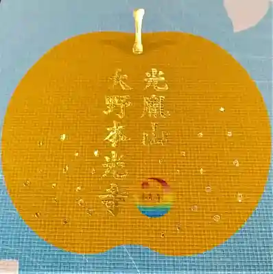 光胤山 大野本光寺の御朱印帳