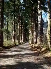 戸隠神社奥社の周辺