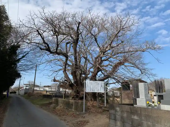 円立寺(千葉県)