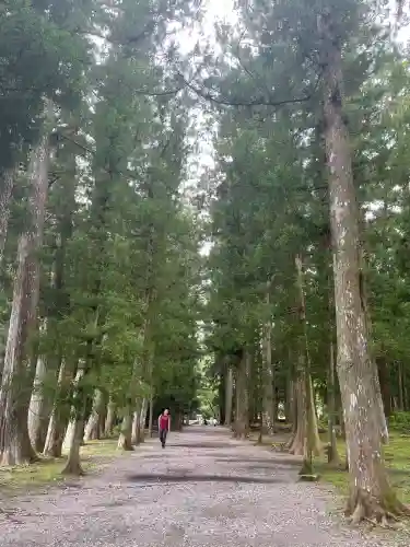 熊野本宮大社(和歌山県)