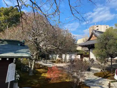 報恩寺(京都府)