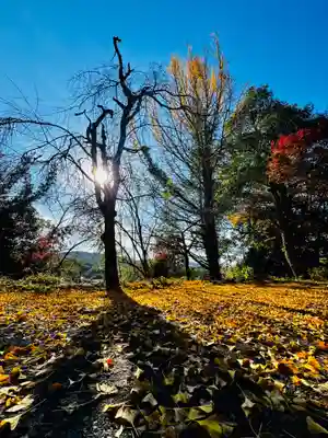安国寺(京都府)