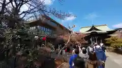 桜神宮の建物その他