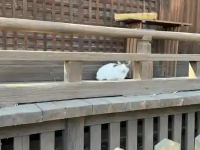 阿邪訶根神社(福島県)