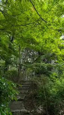 十輪寺(京都府)
