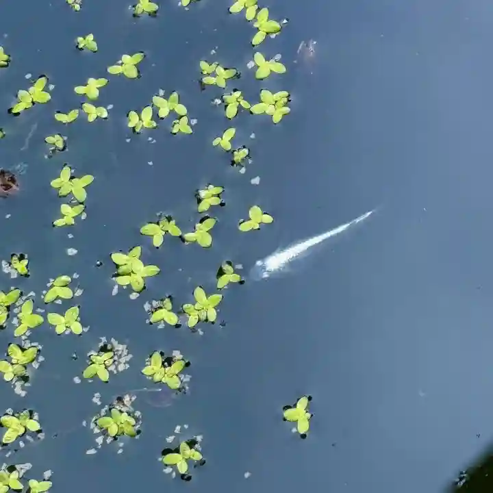 伊勢の国 四天王寺(三重県)