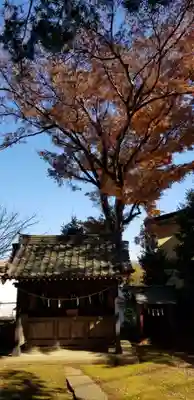 国府台天満宮(千葉県)