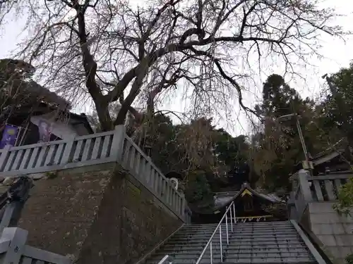 毛谷黒龍神社(福井県)
